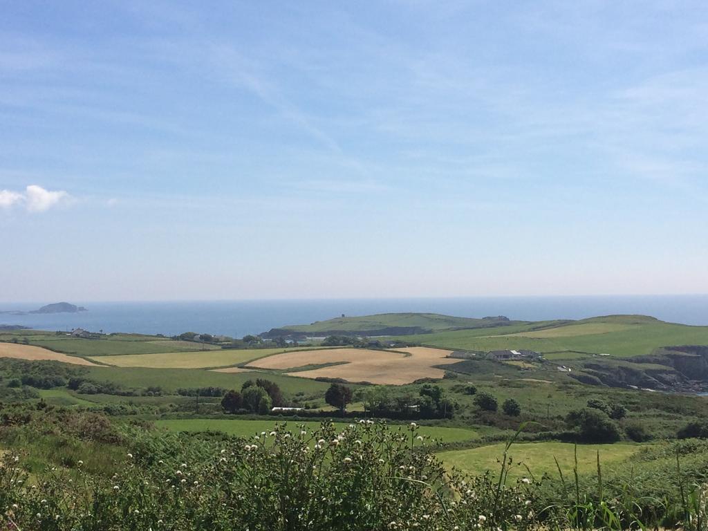Sandycove House Bed & Breakfast Bed and Breakfast Castlehaven Exterior foto