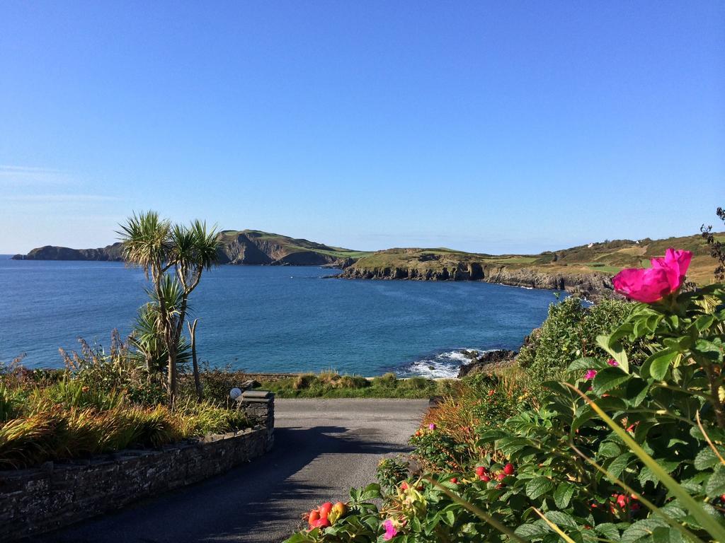 Sandycove House Bed & Breakfast Bed and Breakfast Castlehaven Habitación foto